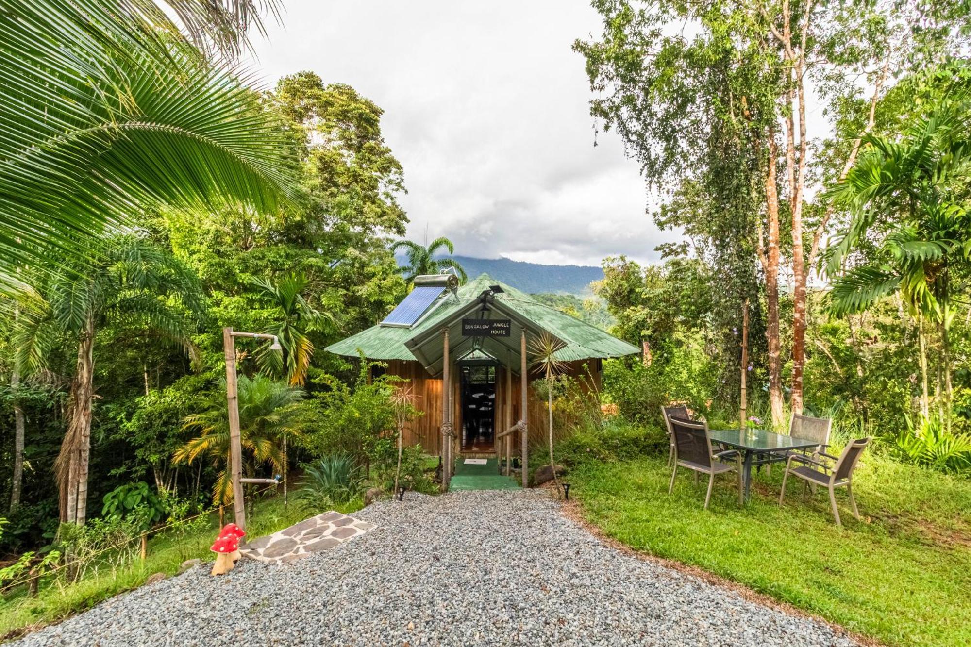 Paradiselodge Jungleguesthouse Platanillo Экстерьер фото