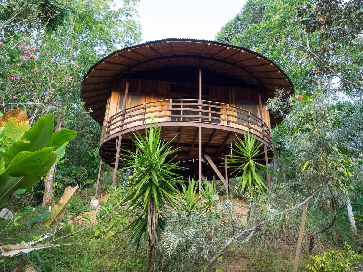 Paradiselodge Jungleguesthouse Platanillo Экстерьер фото